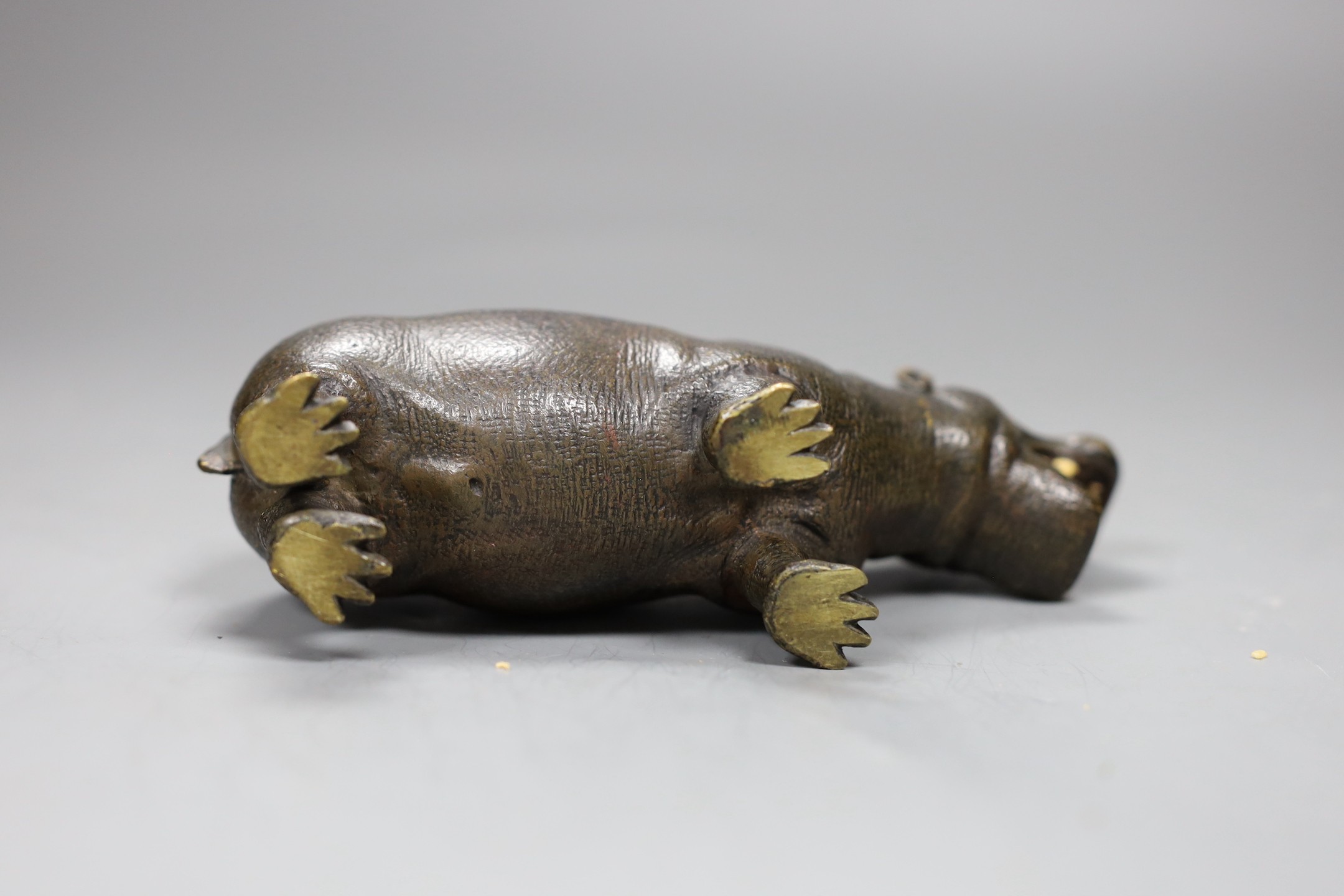 A Viennese cold painted bronze figure of a hippopotamus, 16cm long